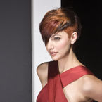 Short Takes from the Rocco Altobelli Salons