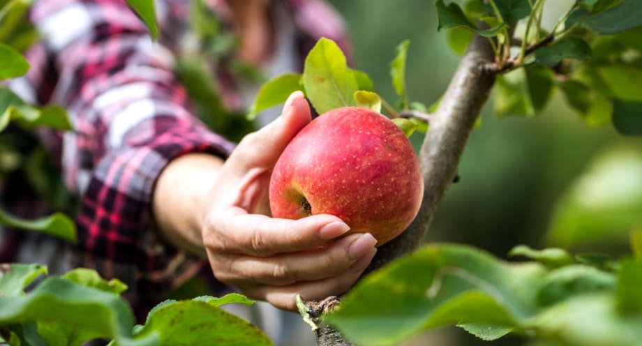 6 Fun Ways to Exercise This Fall
