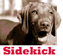 TruckersEdge and "Sidekick" Make Their Entrance