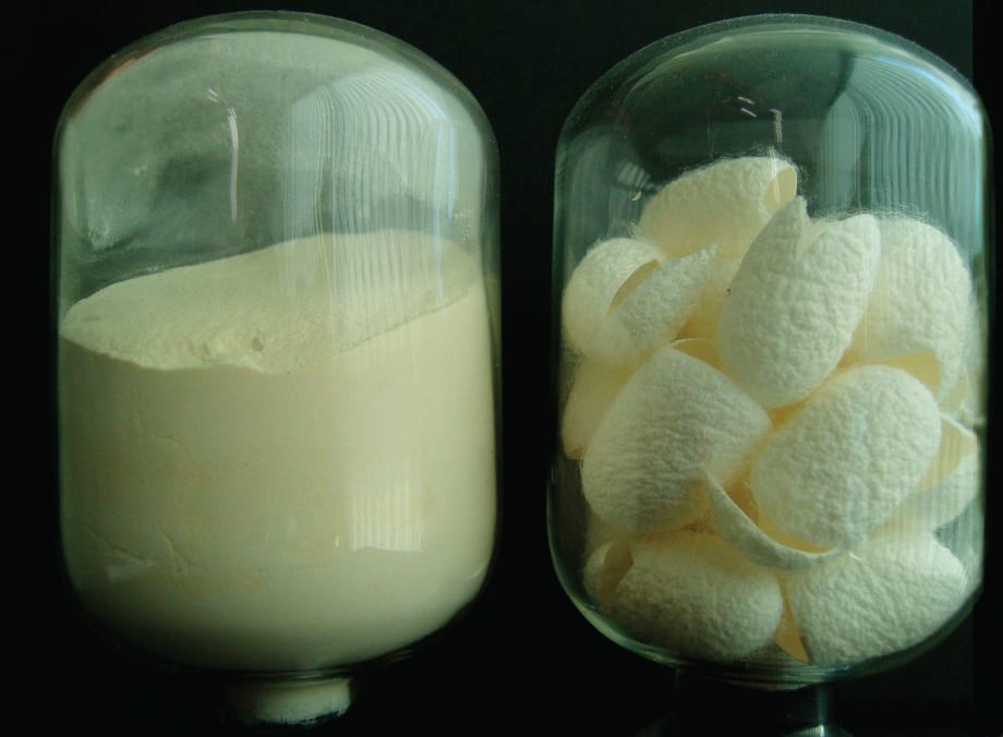 Secret Ingredient: Silk Protein / Silk Peptide