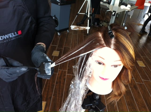HOW TO: Balayage For Ombre, Color Melt and Seamless Color