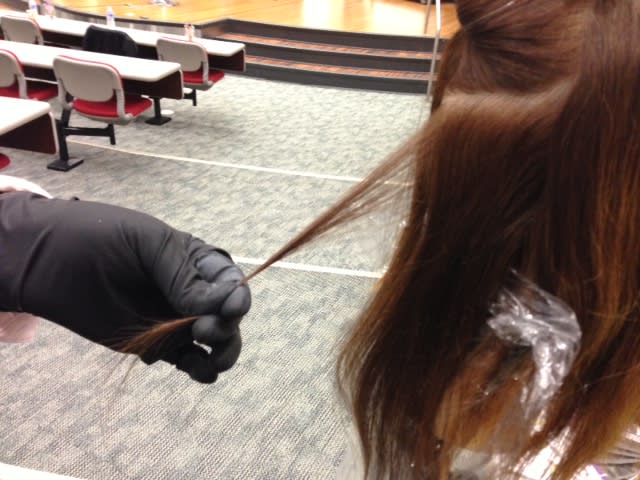 HOW TO: Graduate from Ombre to Hair Painting
