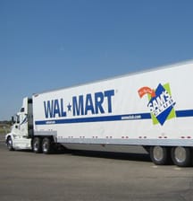 Great Dane to Show Off ‘Skirts’ at 2007 TMC Exhibition 

