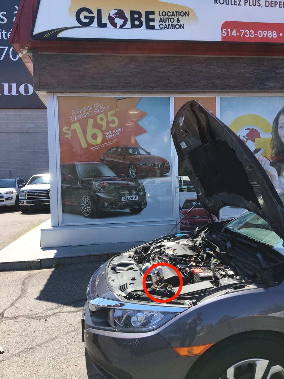 Car Washer Shocked to Find Snake in Rental Car