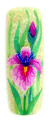 Summer Irises