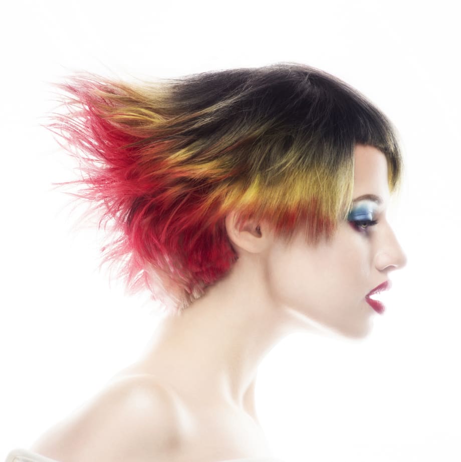 2019 NAHA Finalists: Student