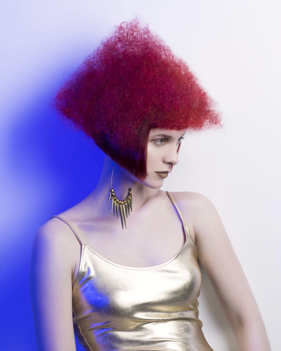 2018 NAHA Finalists: Student