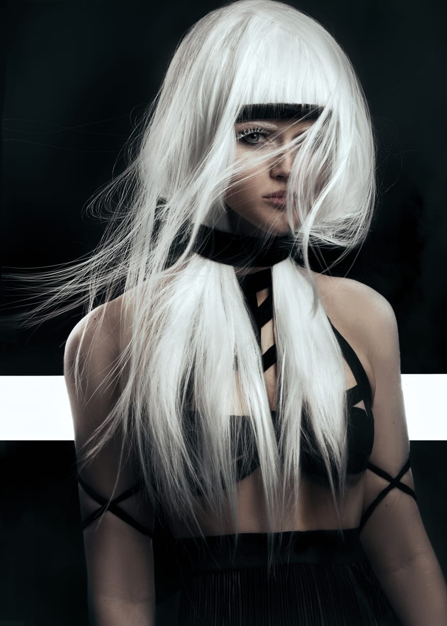 2019 NAHA Finalists: Student
