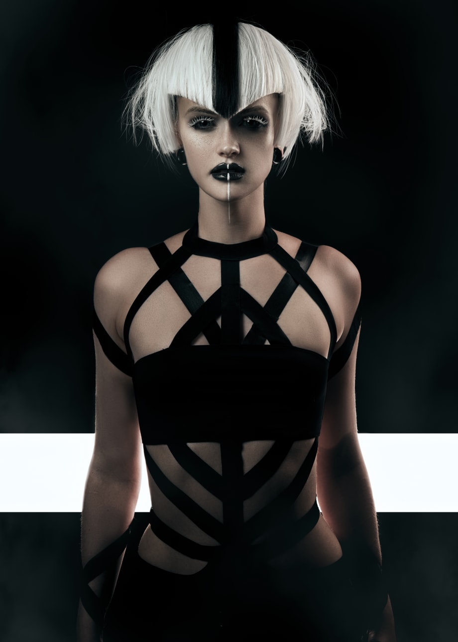 2019 NAHA Finalists: Student