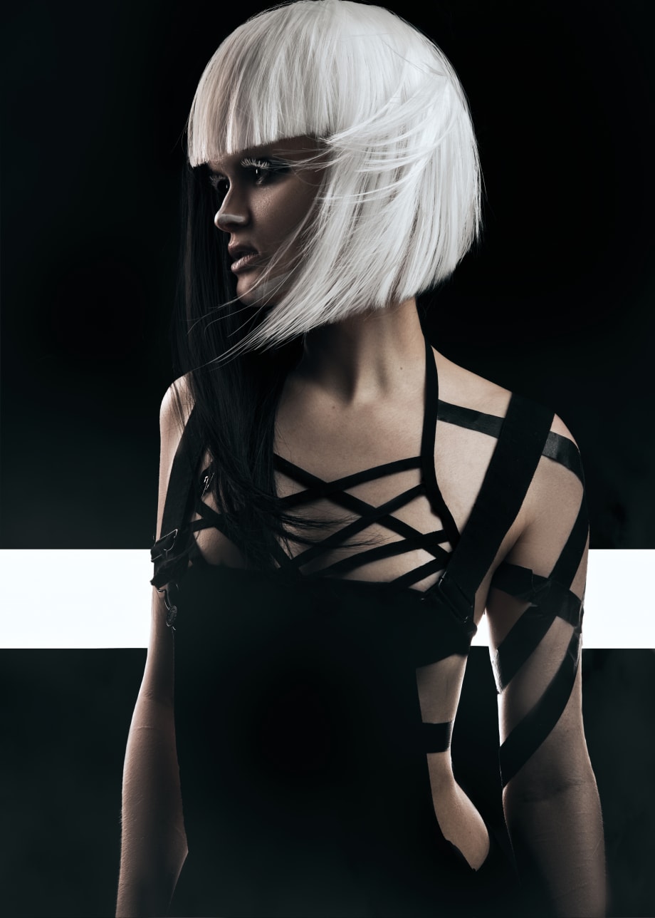 2019 NAHA Finalists: Student