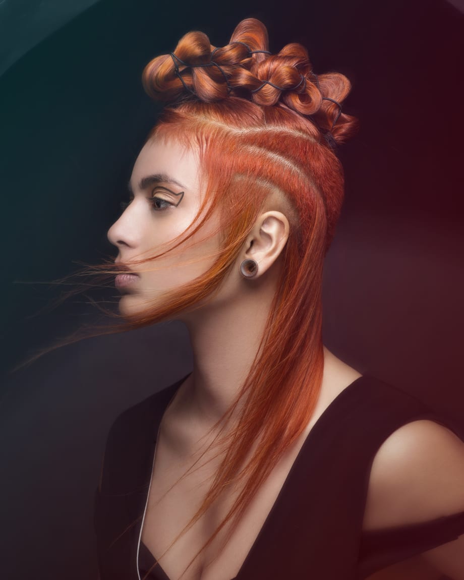 2018 NAHA Finalists: Student
