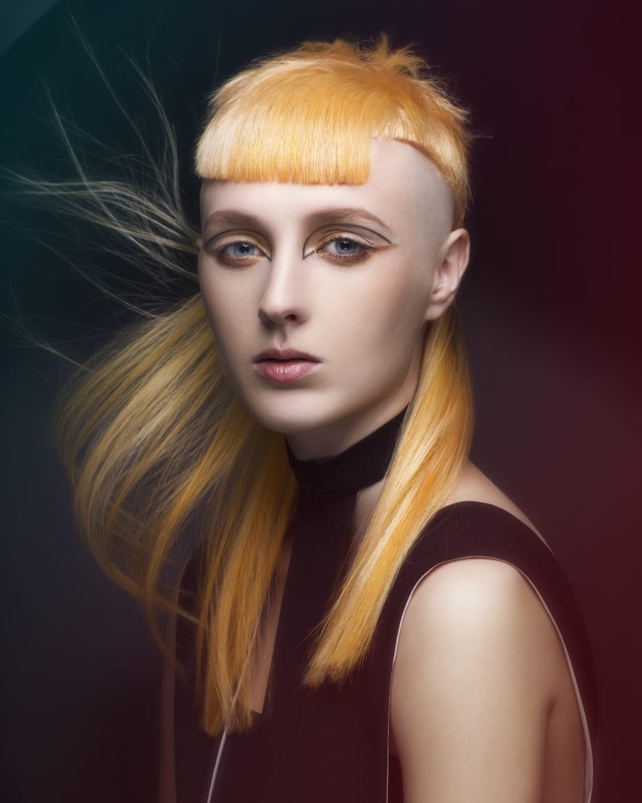 2018 NAHA Finalists: Student