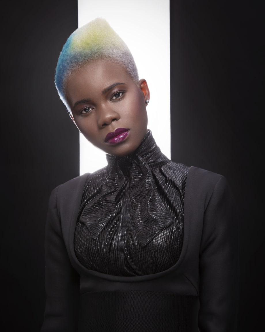 2019 NAHA Finalists: Student