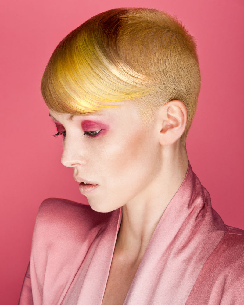 Colour Collection from Stuart Bane of D&J Ambrose