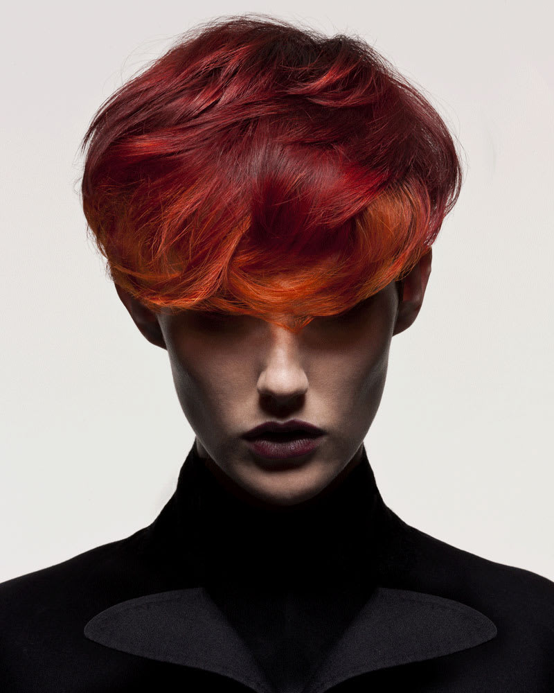 Collections: Color in Motion