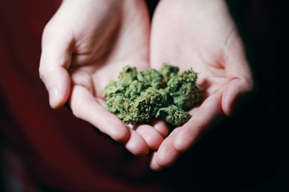 Survey: 33% of Employees Witness Cannabis Use on the Job