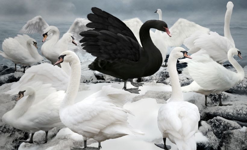 Three Black Swan Events Threaten to Change the Fleet Management Paradigm