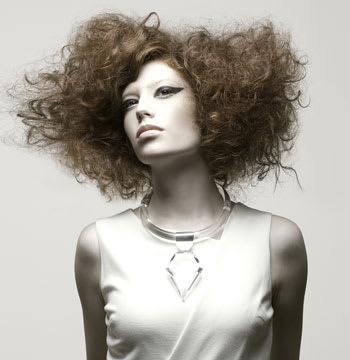 2011 NAHA Finalists - Texture