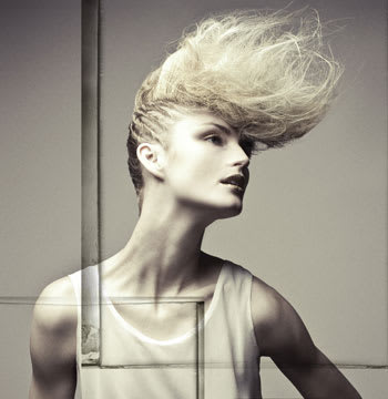 2011 NAHA Finalists - Texture