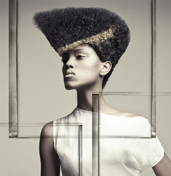 2011 NAHA Finalists - Texture