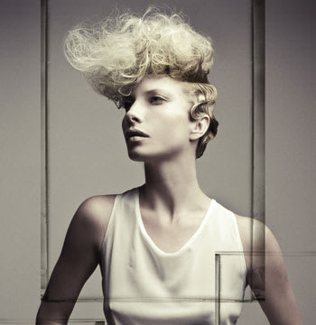 2011 NAHA Finalists - Texture