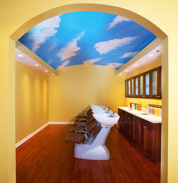 Salon of Distinction: Tangles of Evans
