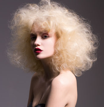 Winter White by Claude Tarantino