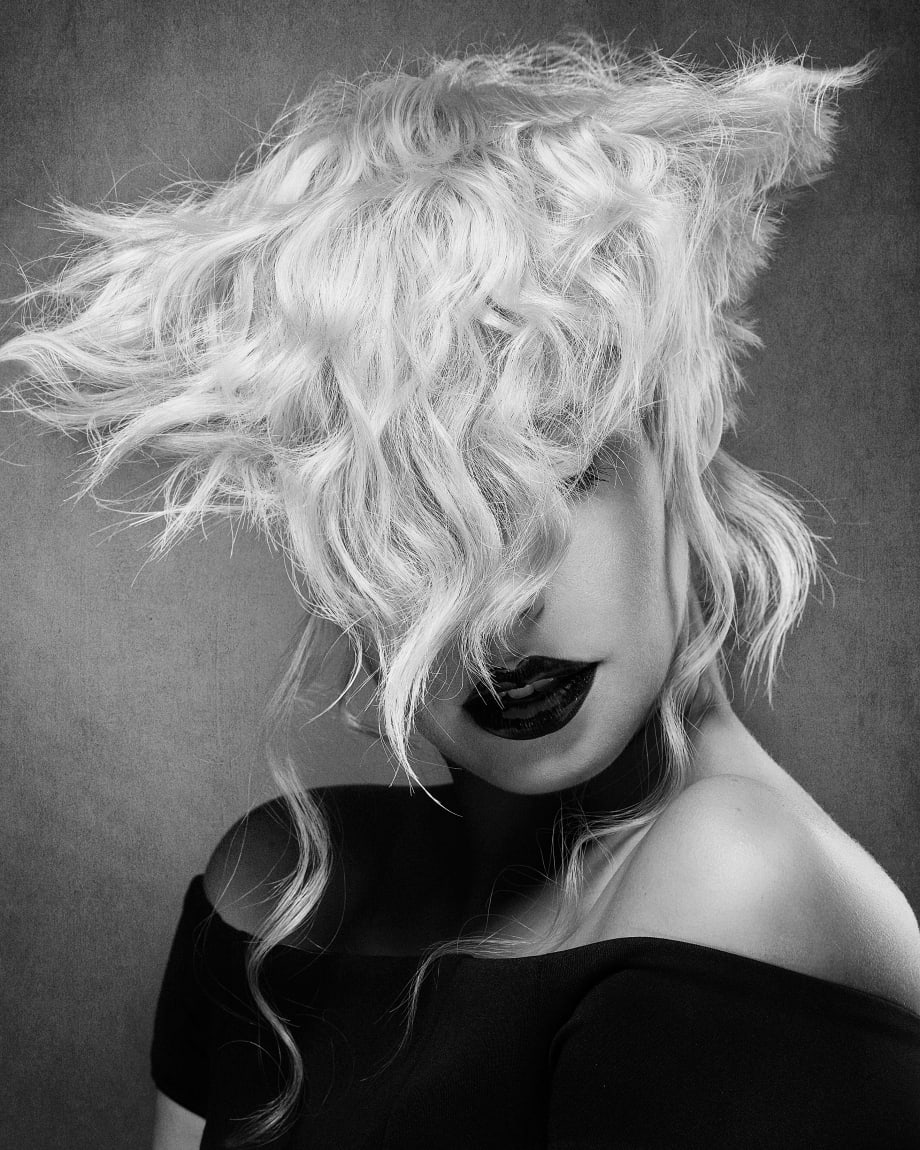 2019 NAHA Finalists: Salon Team
