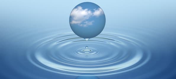 The Evolution of Eco Products