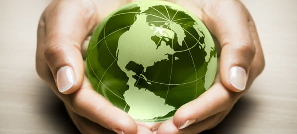 A Closer Look at Eco-Friendly Products