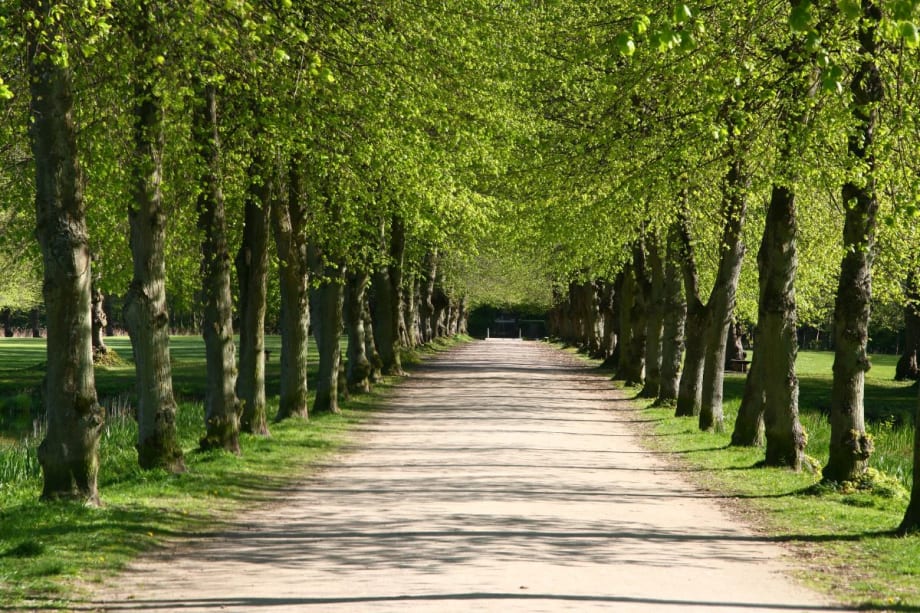 The Path to Sustainability is Paved with Imperfect Action