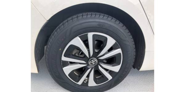 NYC Fleet Implements Biotire Project