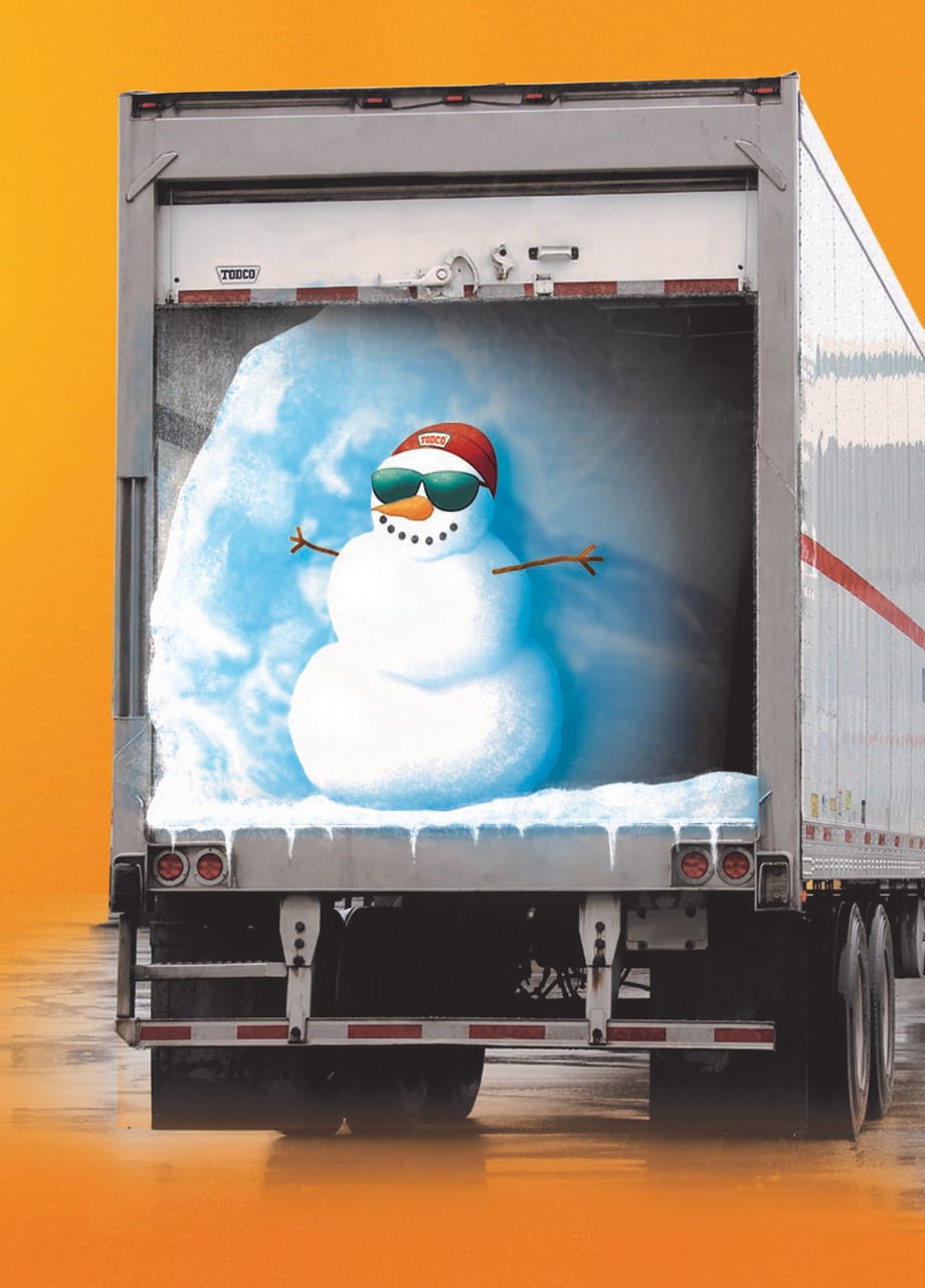 TodCold Refrigerated Roll-Up Door