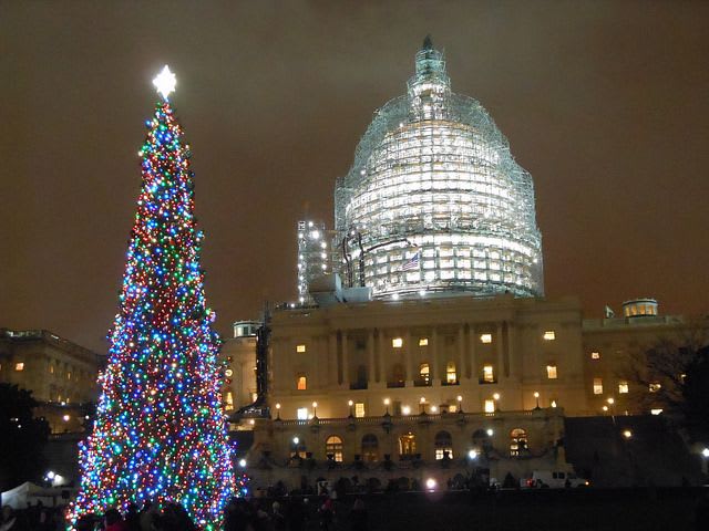 Kenworth Delivers Capitol Christmas Tree