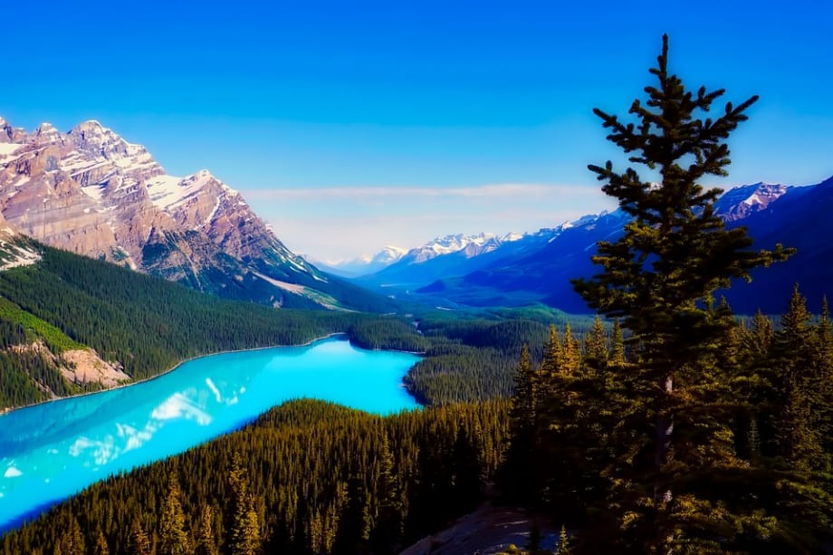 Enterprise Canada Establishes Environmental Charity 