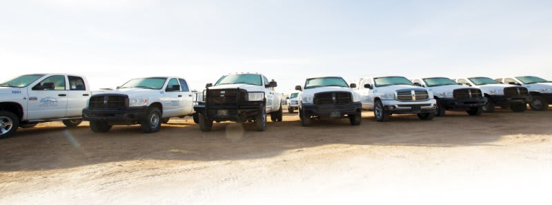 Saving Time & Money at Auctions