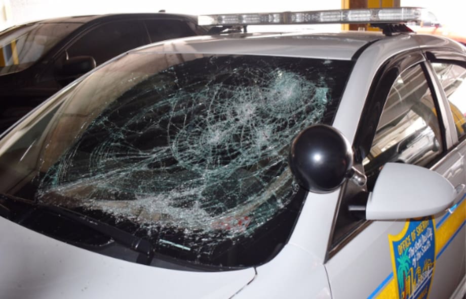 Protests Lead to Fleet Damages