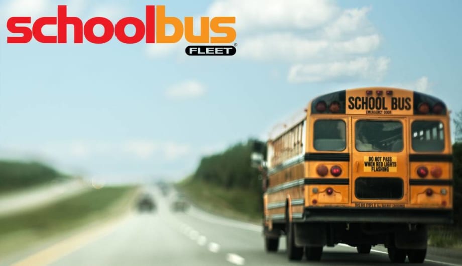 Differences Between Type C vs. Type D Buses