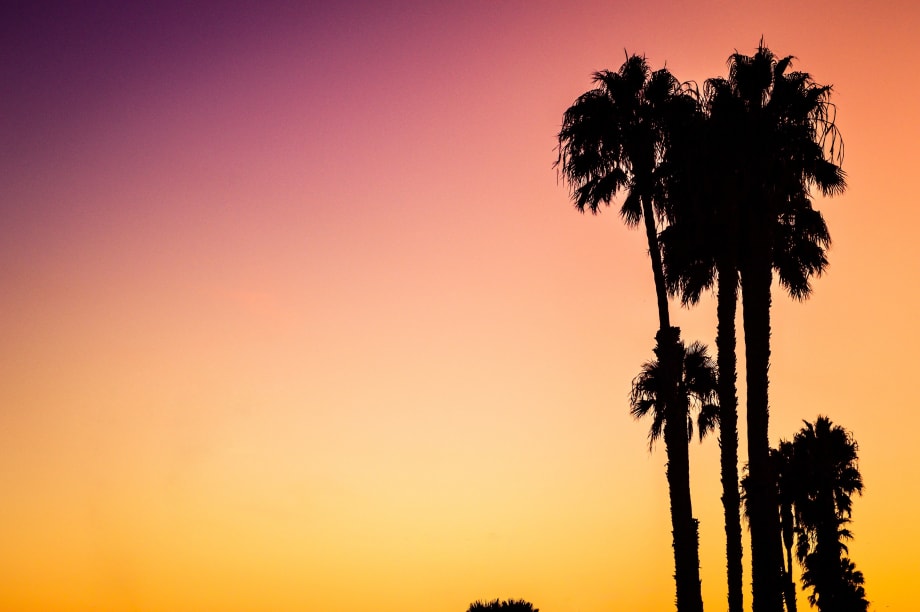 NFusion Wants to Send One Lucky Stylist on the Trip of a Lifetime