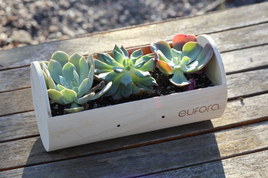 How Eufora Upcycles Beauty Packaging This Holiday Season & Beyond