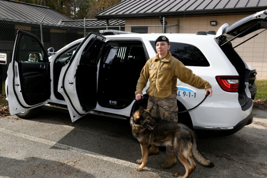 Air Force Gets New, Cheaper Canine-Safe Vehicles