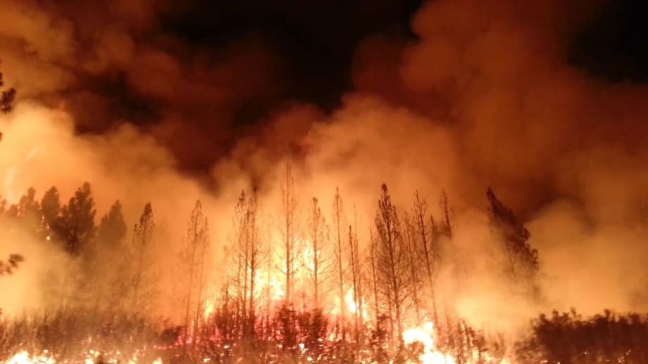 Avis Offers Support, Supplies to Greece Wildfire Victims