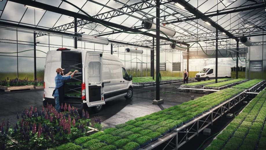 Getting Started on Buying a Van: First Questions & Decision Points