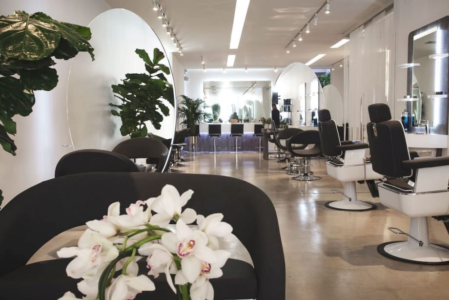 Salon of the Week: Vidov West