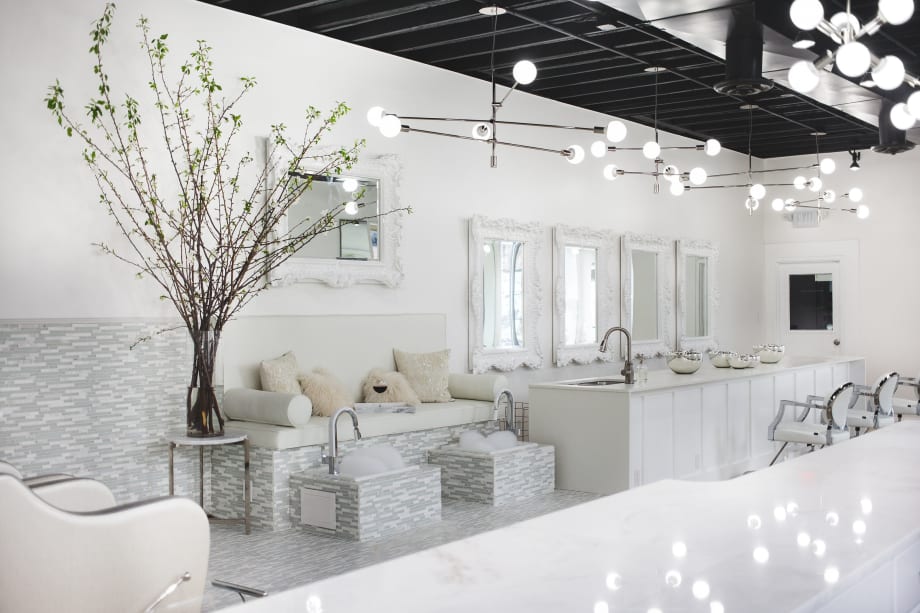 2020 Salons of the Year: Whitehouse Salon