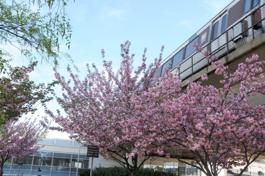 FTA Makes $600M Available to Replace Aging Railcars