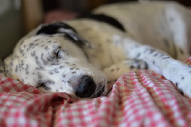 The Best Holiday Songs for a Deep Sleep