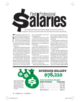 2013 Fleet Professional Salaries