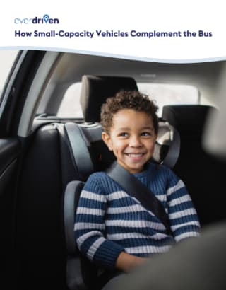How Small-Capacity Vehicles Complement the Bus 