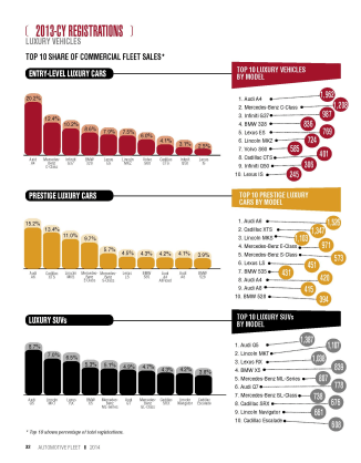 2013-CY Executive Fleet Registrations